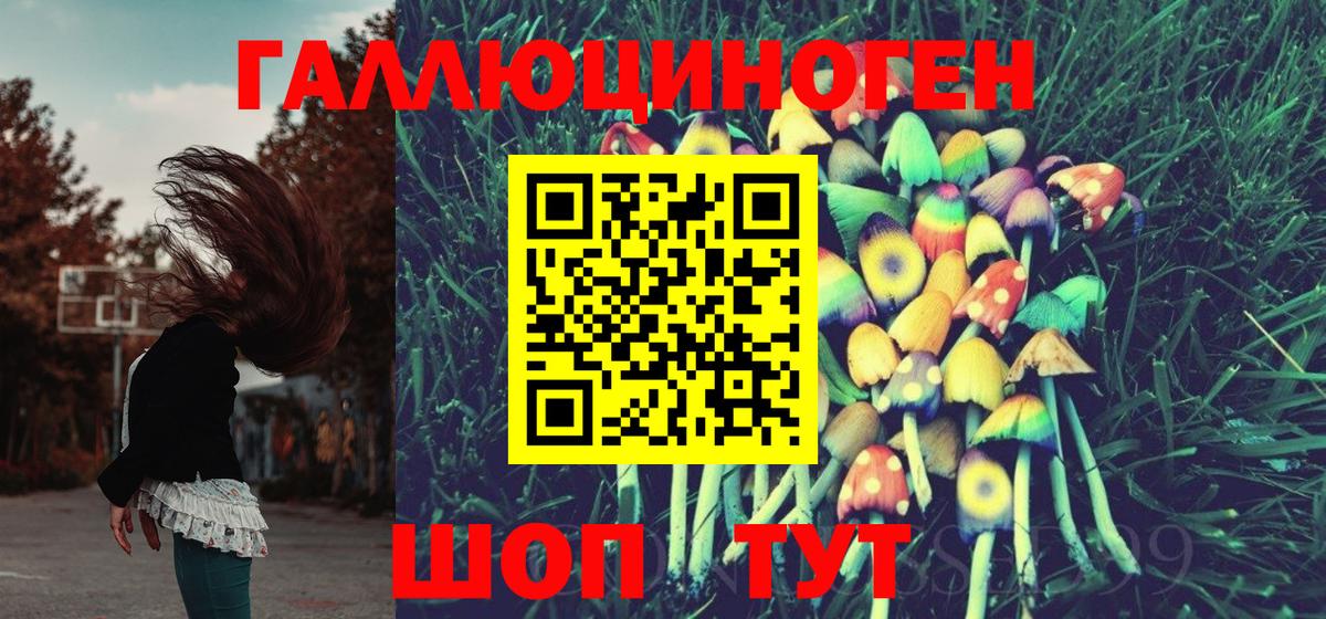 Псилоцибиновые грибы мухоморы Тара