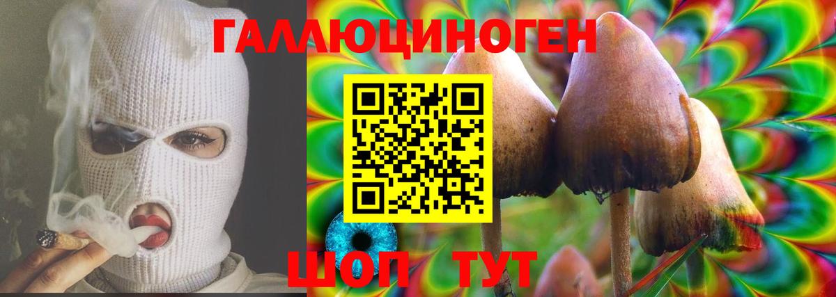Тара  купить закладку  Вход с VPN  Псилоцибиновые грибы ЛСД 